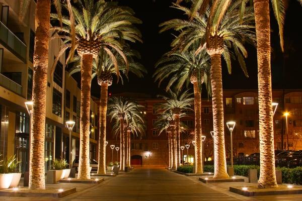 San Jose California - Our 'Home Town'