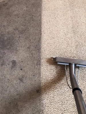 Steem Rite Carpet Care