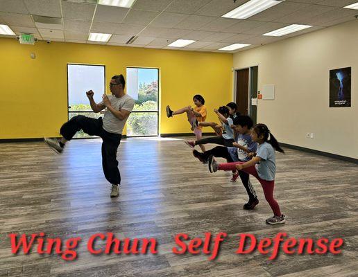 Martial Arts Wing Chun