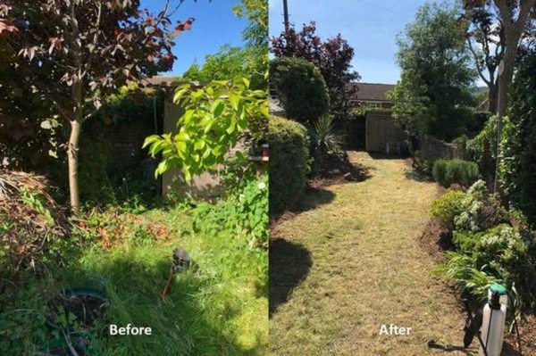 Mowing Overgrown Yard
Before & After