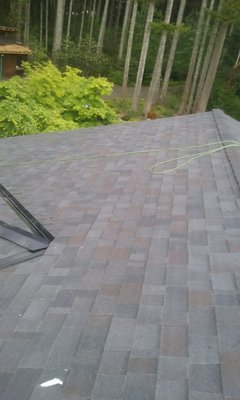 Sap Roofing