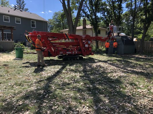 Michael's Tree Service