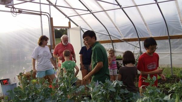 Inside our Hoop House or Greenhouse