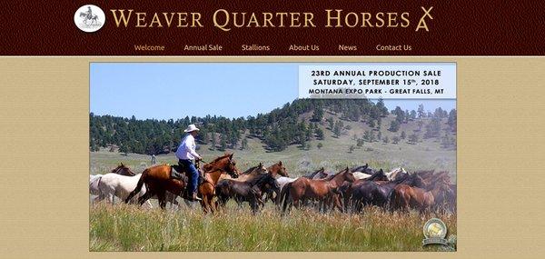 Weaver Quarter Horses