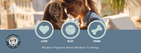 Puppy Training School in Minneapolis - Off leash classes teaching life skills and social skills.