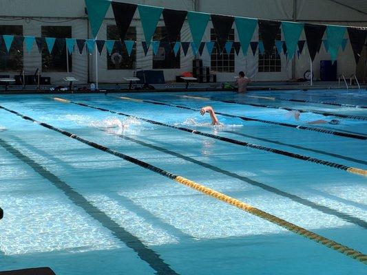 Beautiful day for swim lessons!