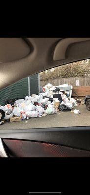 Trash compactor was full. This sat around it for 3 weeks.