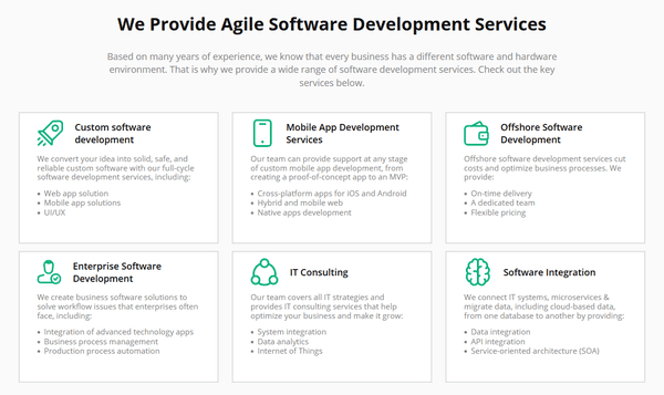 Software development services