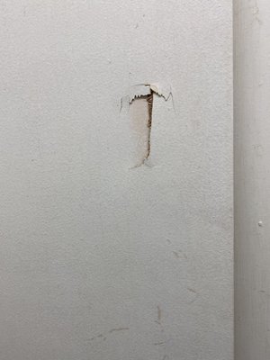 holes in doors