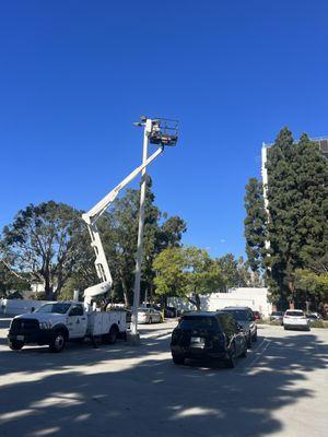 Parking pole lights replaced