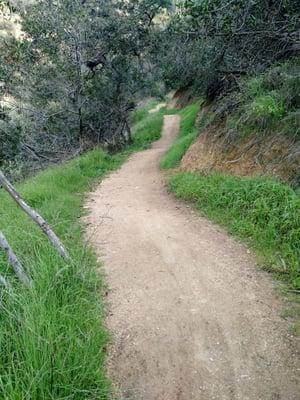 A great trail for mountain biking.