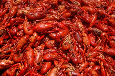 Andrus Crawfish to Geaux