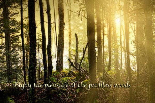 Take Pleasure in the Pathless Woods ... featured photo at the William Britten Gallery in Gatlinburg, TN