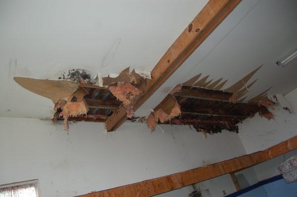 Water Damage in Michigan