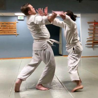 Aikido training