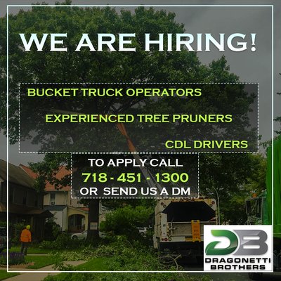 Looking to blossom out of a pandemic? Call 718-451-1300 to join our growing team  of Bucket Truck Operators, Tree Pruners, and CDL drivers.