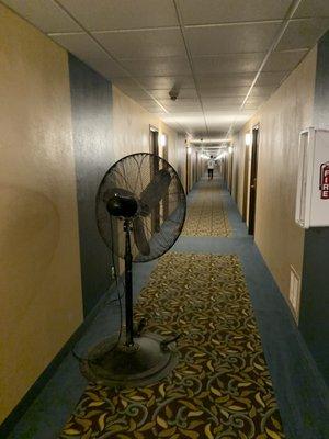 fan stored outside our room all weekend