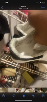 800$ + sneakers that was ruined due to MOLD