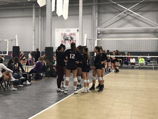 Five Stars Volleyball Club at the Spring Classic.