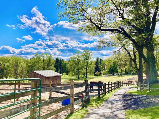 Hidden Valley Farm