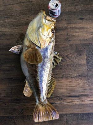 Calico bass