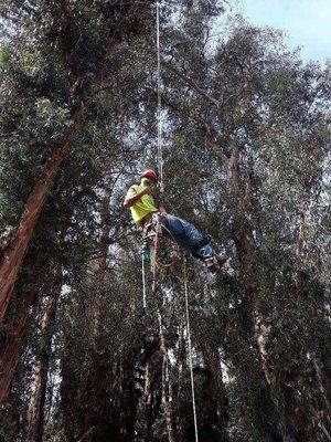 Everyday is a great day to climb the beaty of  nature.