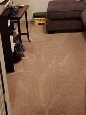 D&D Carpet Cleaning & Janitorial