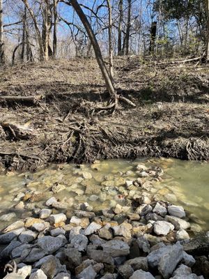 Squabble Creek Mountain Bike Trail