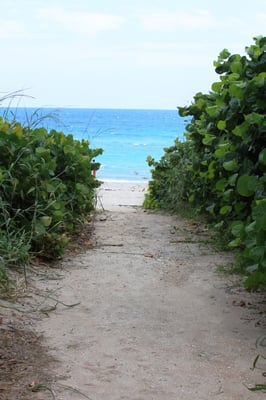 Pathway to beach