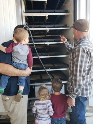 Learning about the process of growing barley