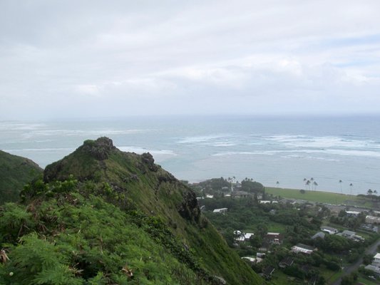 View from atop the pillbox