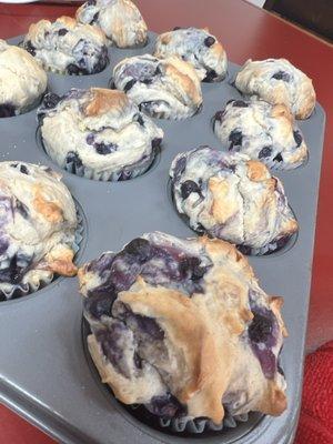 Blueberry muffins