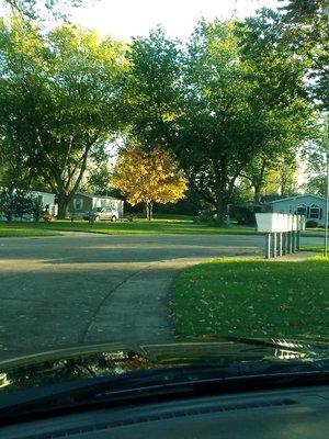 The View as You drive in Arlington Manor Community.