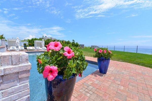 Poolside Potted Plants