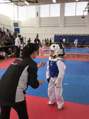 World Champion Taekwondo