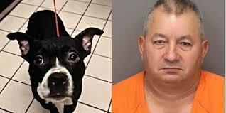 justice for dexter!!!! the dog victor's client DECAPITATED