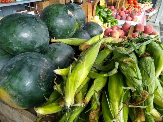 This is summer at it's best! August is the month for melons and lopes