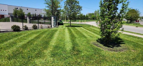 West Central Lawncare & Landscaping