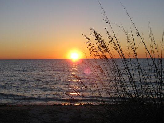 Honeymoon Island, looking to move to FL? Give us a call!