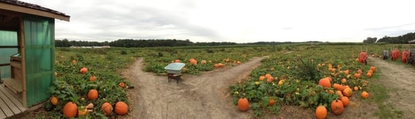 Panoramic taken in 2011