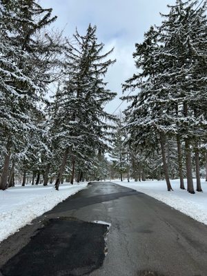 Walking in the winter