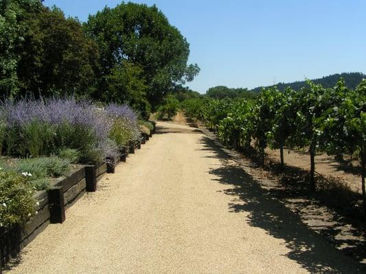 Custom winery driveway