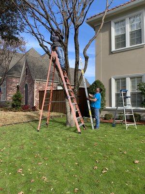 Brandon's Window Cleaning