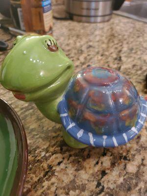 Finished product was shipped - turtle