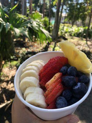 Strawberry Sorbet Bowl