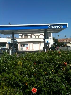 Front of Chevron