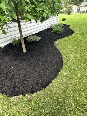 Edging / Maintenance / Mulch Installation