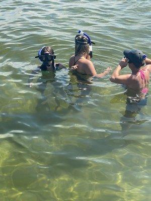 Snorkeling fun at Shell Island. All masks and Snorkels provided.