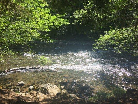 The river next to our campsite. Someone had created a small rock wall next to the shore which deterred the current.