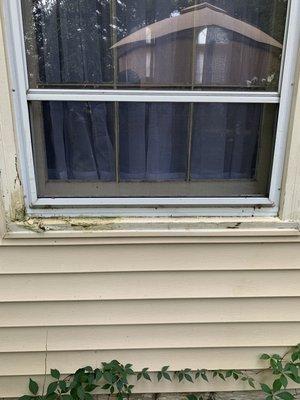 Windows frame repair